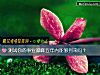 《測試你的事業巅峰五年內能夠到來嗎？》测试