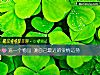 《選一個物品 測自己最近的<i>愛情</i>運勢》测试