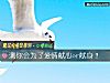 《測你會爲了<i>愛情</i>獻心or獻身？》测试