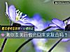 《測你變美後他會回來求<i>複合</i>嗎？》测试
