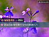 《測試你能夠招架住父母的催婚嗎？》测试