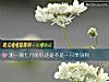 《測一測七月份你還是不是一只<i>單身</i>狗》测试