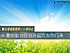 《測你能<i>交往</i>到外國女友的幾率》测试