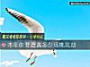 《本年你要遭遇多少場<i>桃花</i>劫》测试