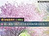 《測一測蜜月旅行對于你來說<i>真的</i>很美好嗎？》测试