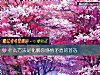 《什麼方法是化解你感情<i>矛盾</i>的首選》测试