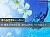 《哪條金魚最值錢 測什麼情況下你會說話不經大腦》测试