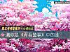 《測你是《<i>青春</i>警事》中的誰》测试