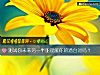 《測試你未來<i>另一半</i>能理解你的潛臺詞嗎？》测试