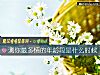 《測你最多情的年齡段是<i>什麼時候</i>》测试