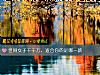 《世間女子千千萬，<i>適合</i>你的是哪一款》测试