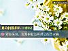 《對你來說，近期事業運和財運能否雙贏》测试