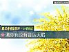 《測你<i>有沒有</i>音樂天賦》测试