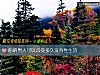 《你的<i>男人</i>可以忍受多久沒有性生活》测试