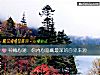 《神秘心測：你內心隱藏最深的<i>自卑</i>來源》测试