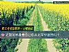 《近期如果<i>跳槽</i>會讓你從此榮華富貴嗎？》测试
