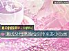 《測試父母<i>離婚</i>給你帶來多少傷害》测试