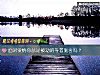 《面對<i>愛情</i>你總是被動的等著施舍嗎？》测试
