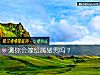 《測你會<i>嫁給</i>屬豬男嗎？》测试