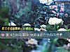 《測《古劍奇譚2》中的誰適合當你的男票》测试