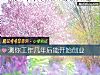《測你工作幾年後能開始創業》测试