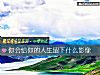 《你會給你的<i>人生</i>留下什麼影像》测试