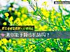 《測你能手撕<i>心機</i>婊嗎？》测试