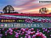《測<i>分手</i>後你會爲他心痛多久》测试