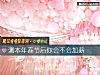 《測本年春節後你會不會加薪》测试