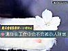 《測你在工作中會不會被小人所害》测试