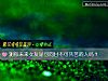 《測你未來<i>女友</i>是可同甘不可共苦的人嗎？》测试