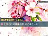 《測試你們的暧昧<i>結果</i> 是否能在一起》测试