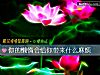 《你的懶惰會給你帶來什麼<i>麻煩</i>》测试