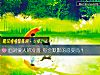 《<i>面對</i>愛人的冷落 你會默默的忍受嗎？》测试