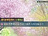 《測你男票最近是否動了換<i>戀人</i>的歪腦子？》测试