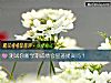 《測試你新學期成績會顯著<i>提高</i>嗎？》测试