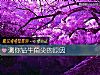 《測你鑽牛角尖的<i>原因</i>》测试