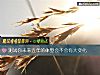 《測試你未來五年的體型會不會有大<i>變化</i>》测试