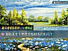 《測你本年下半年會有財務<i>危機</i>嗎？》测试