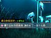 《<i>哪個</i>皇冠你更喜歡 測你長了一張什麼臉》测试