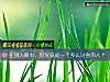 《在別人<i>眼中</i>，你究竟是一個多麼討喜的人？》测试