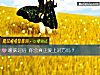 《暧昧過後 你會真正<i>愛上</i>對方嗎？》测试