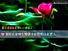 《測你在<i>愛情</i>生物鏈中是獵物還是獵人》测试
