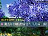 《測去年你的<i>戀情</i>會在幾月間出現》测试
