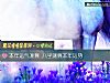 《本年<i>運氣</i>測算 八字測算本年運勢》测试