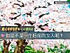《你是不是一個好命的<i>女人</i>呢？》测试