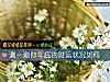 《測一測你年底的財運狀況如何》测试