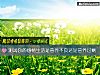 《測試你的感情<i>生活</i>是營養不良還是營養過剩》测试