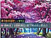 《<i>感情</i>淡了該如何挽回 做個測試找出最適合你的方法》测试