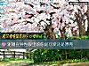 《測測在異性眼裏的你是可愛還是<i>漂亮</i>》测试